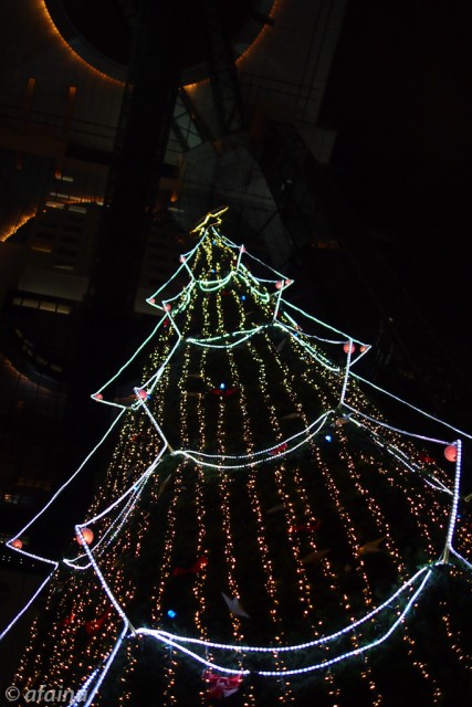 クリスマスツリー 2011